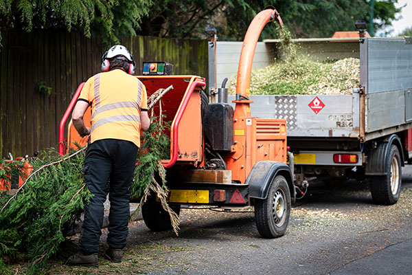 Utility Line Clearing and Tree Trimming